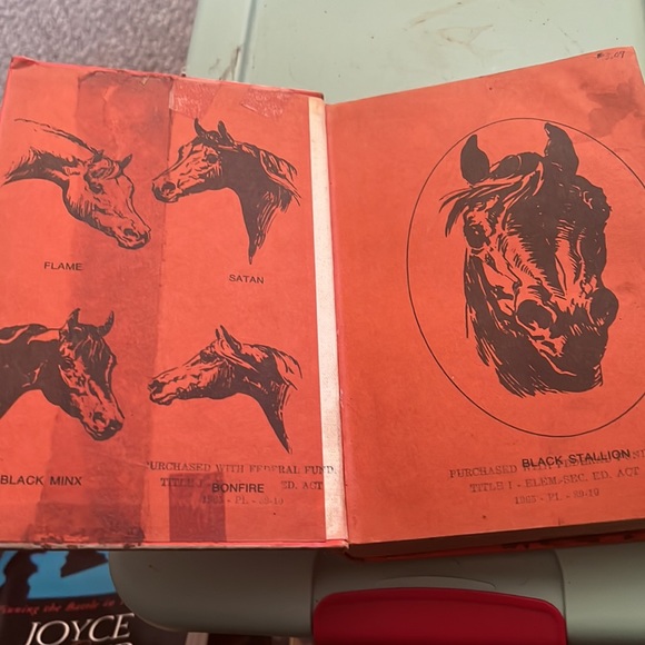 Books - Picture 5 of 7